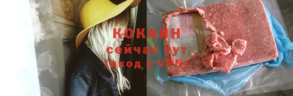 шишки Нязепетровск