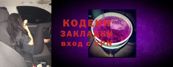 шишки Нязепетровск