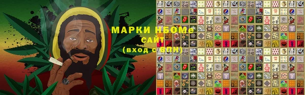 шишки Нязепетровск