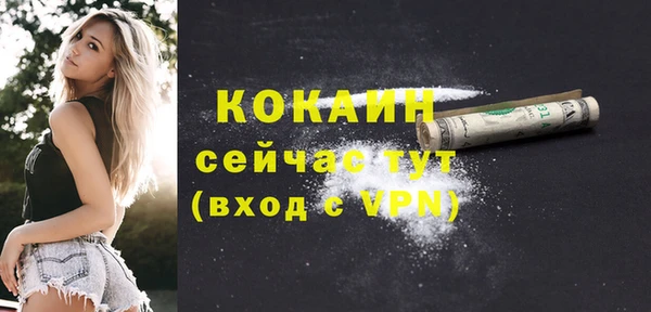 шишки Нязепетровск